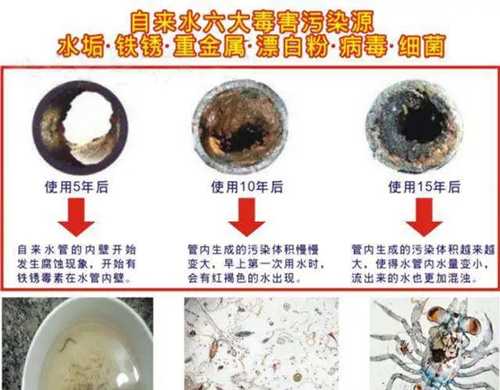 上班工资3千下班副业1万 这4种时间自由的副业了解一下-ww 上班工资3千下班副业1万 这4种时间自由的副业了解一下-ww