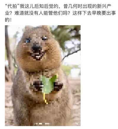 揭秘上热搜第一的代拍产业链 暴利灰产一单利润破千元-ww 揭秘上热搜第一的代拍产业链 暴利灰产一单利润破千元-ww