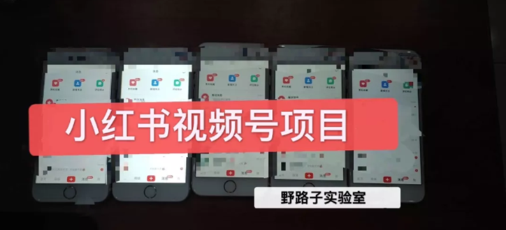 小红书直接上手操作就能赚钱的视频号项目 可长久操作 小红书直接上手操作就能赚钱的视频号项目 可长久操作