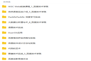 人工智能大数据项目应用实战视频教程 人工智能大数据项目应用实战视频教程