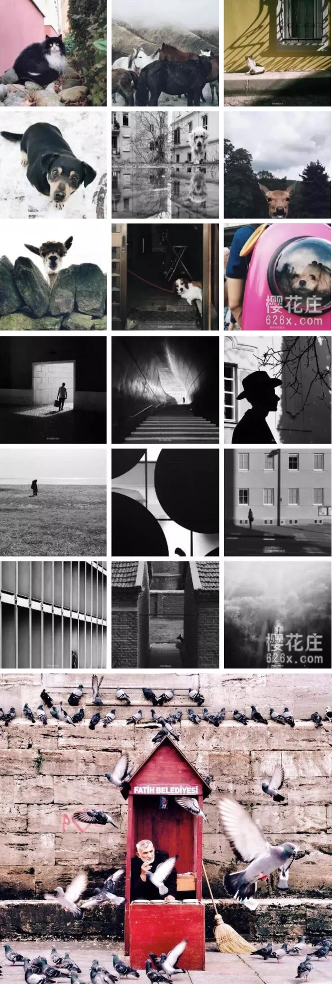 韩松手机摄影系列课程 零基础学手机摄影(30节课) 韩松手机摄影系列课程 零基础学手机摄影(30节课)