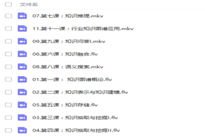 人工智能知识图谱从基础理论到项目案例实战视频教程 人工智能知识图谱从基础理论到项目案例实战视频教程