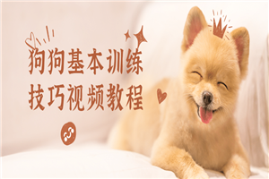 狗狗基本训练技巧视频教程 狗狗基本训练技巧视频教程
