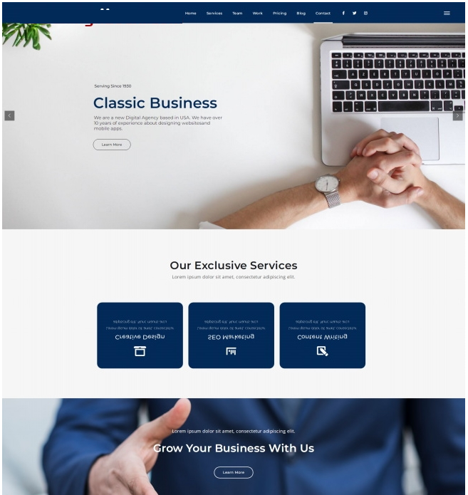 品牌设计数据营销机构网站模板 品牌设计数据营销机构网站模板