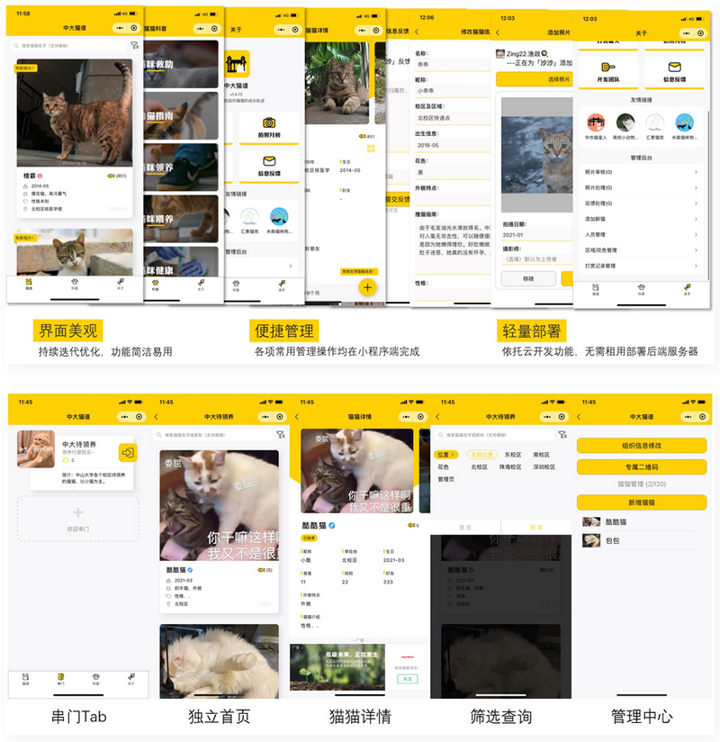 校园流浪猫信息记录和分享的小程序源码 校园流浪猫信息记录和分享的小程序源码