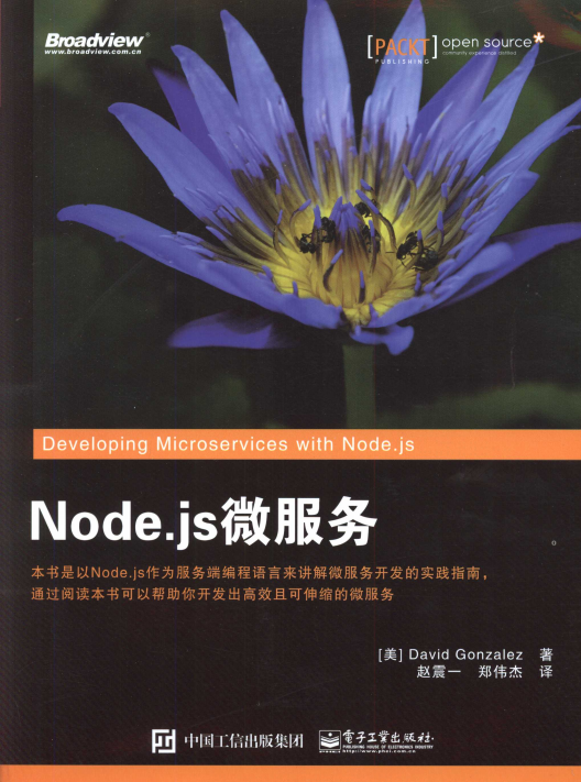 Node.js微服务 中文pdf_前端开发教程 Node.js微服务 中文pdf_前端开发教程