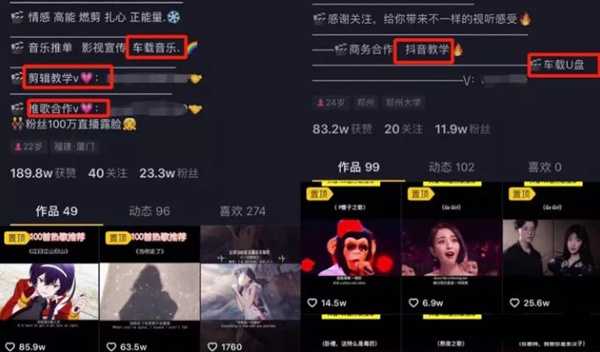 新手操作音乐号轻松月入上万 无需真人出镜的短视频副业-ww 新手操作音乐号轻松月入上万 无需真人出镜的短视频副业-ww