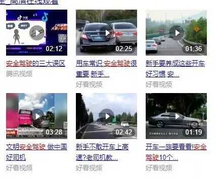 两个长久赚钱的细分领域 安全驾驶项目玩好了年入20万+-ww