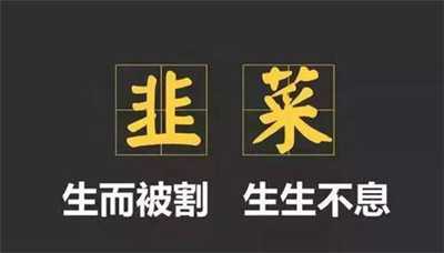 互联网创业黑洞：可能你就是那个得了韭菜妄想症的人-ww