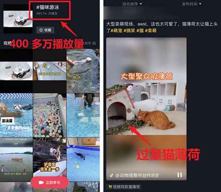 吃播大胃王凉了 为蹭热度不择手段的大胃王宠物还在捞钱-ww