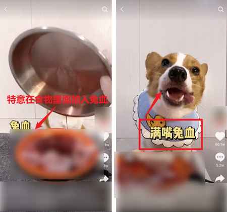 吃播大胃王凉了 为蹭热度不择手段的大胃王宠物还在捞钱-ww