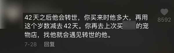吃播大胃王凉了 为蹭热度不择手段的大胃王宠物还在捞钱-ww