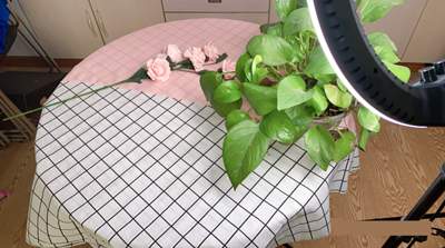 真人出镜原创视频玩法与技巧 更易热门更快引流更稳变现-ww