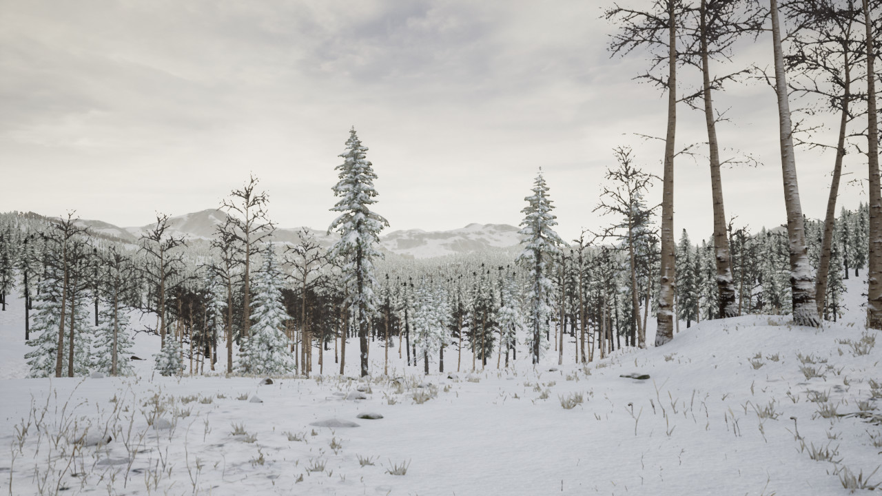 埃尔祖鲁姆/Erzurum