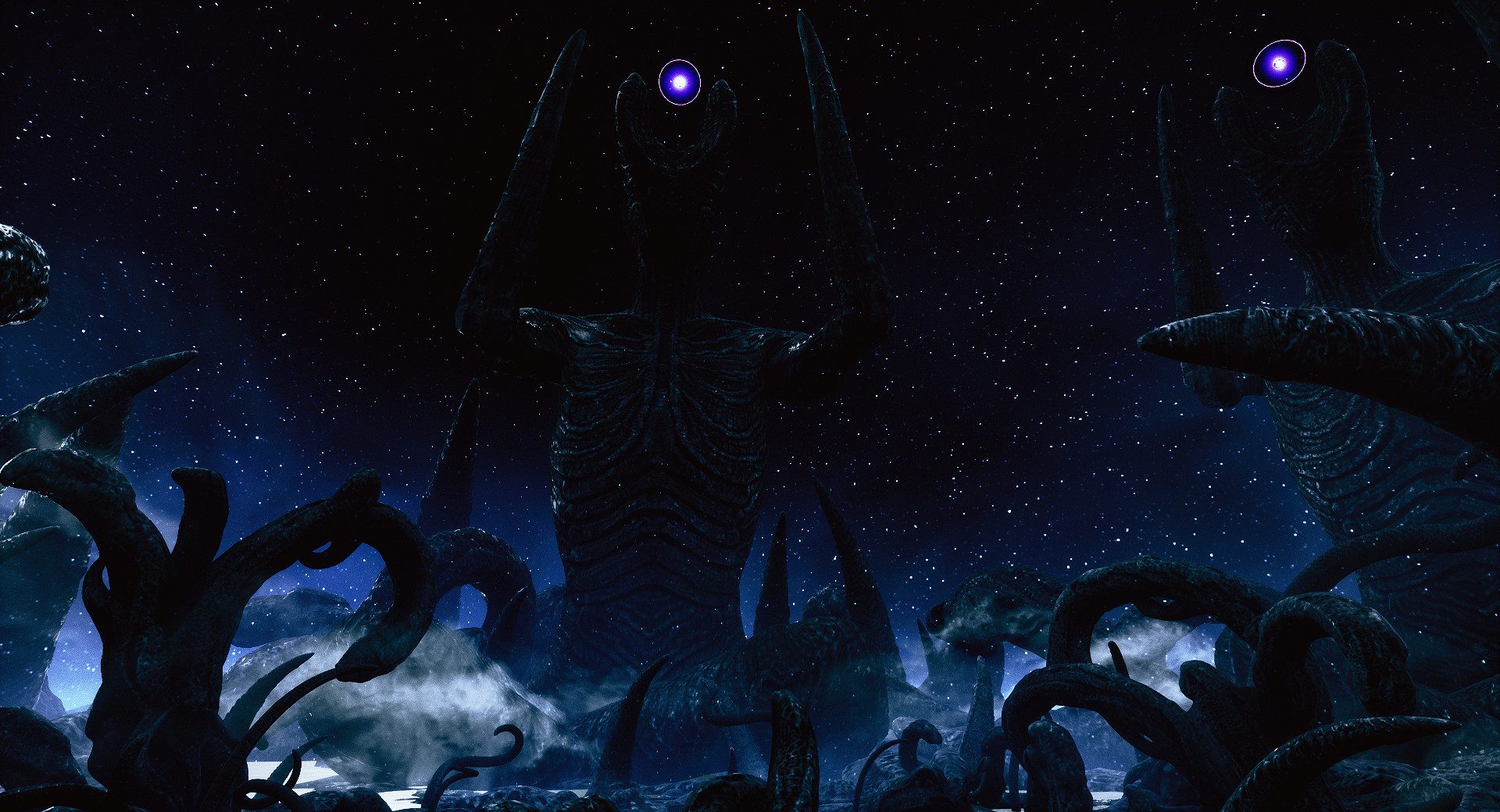 岸边/海岸/The Shore 岸边/海岸/The Shore