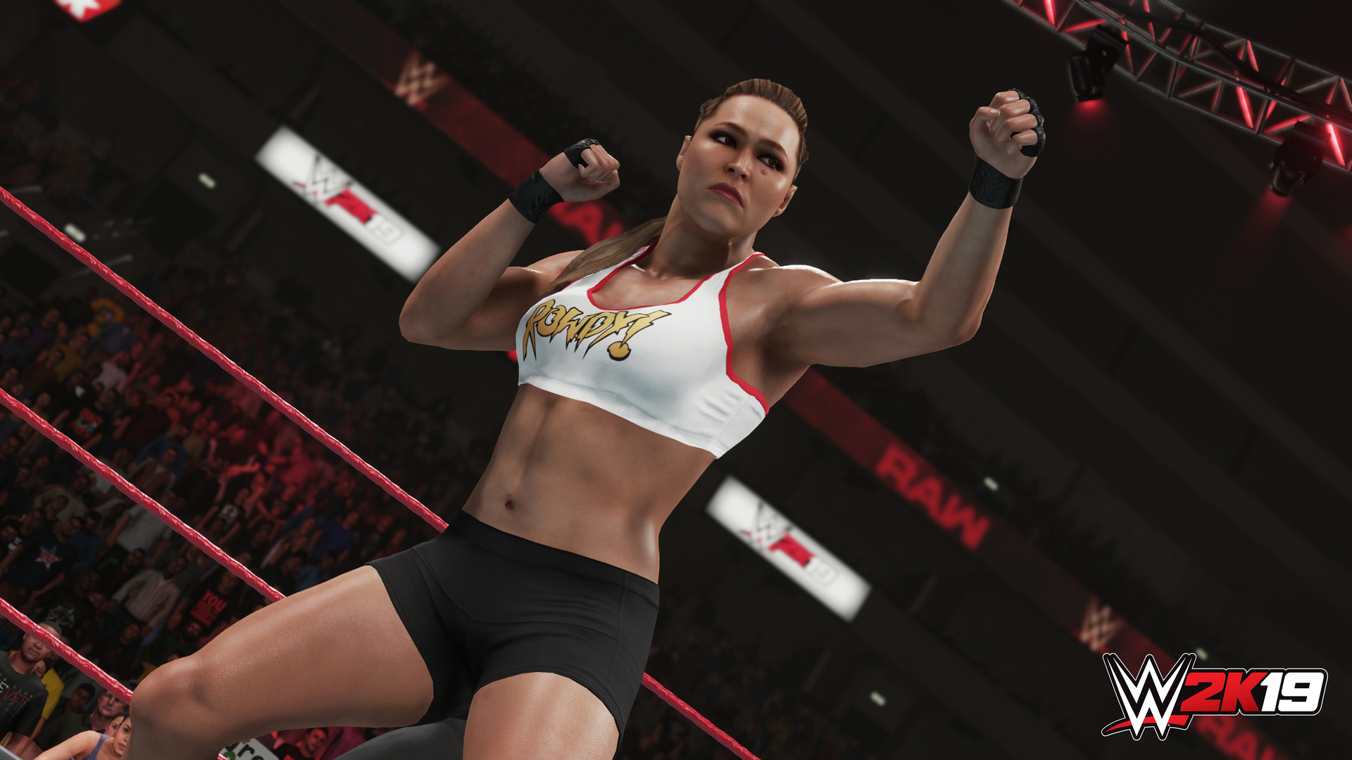 WWE 2K19 WWE 2K19