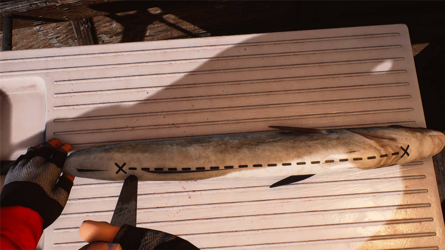 钓鱼:巴伦支海/捕鱼:巴伦支海/Fishing: Barents Sea 钓鱼:巴伦支海/捕鱼:巴伦支海/Fishing: Barents Sea