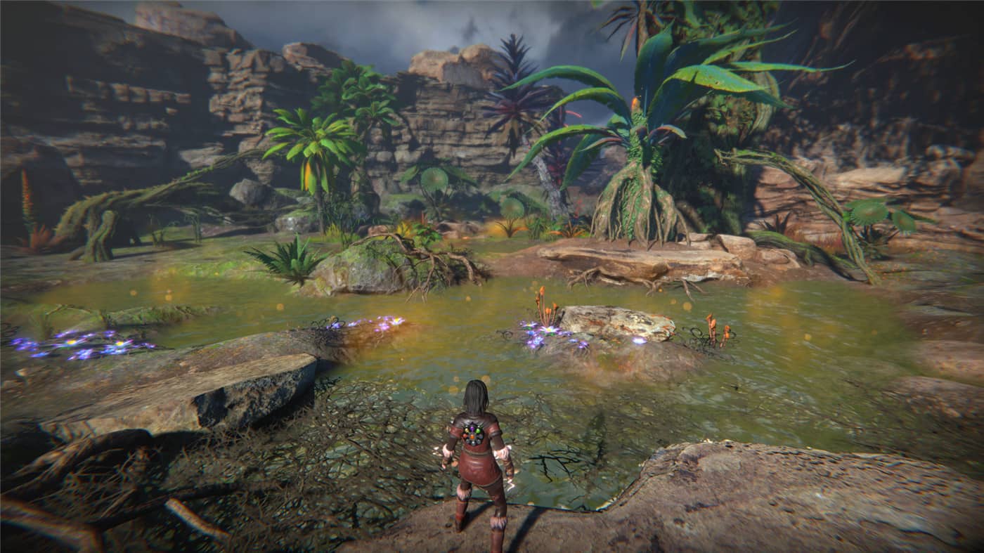 生命之种/Seed of Life 生命之种/Seed of Life