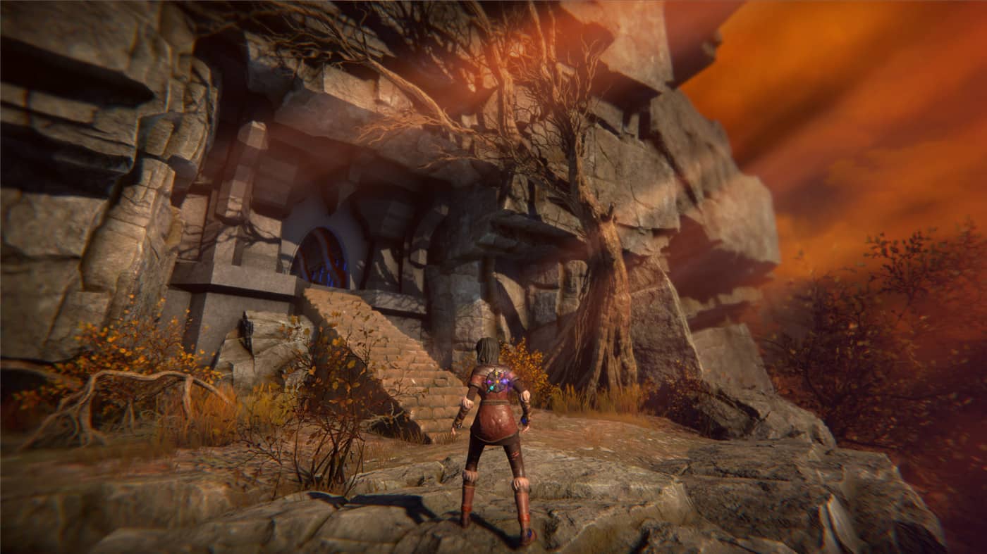 生命之种/Seed of Life 生命之种/Seed of Life