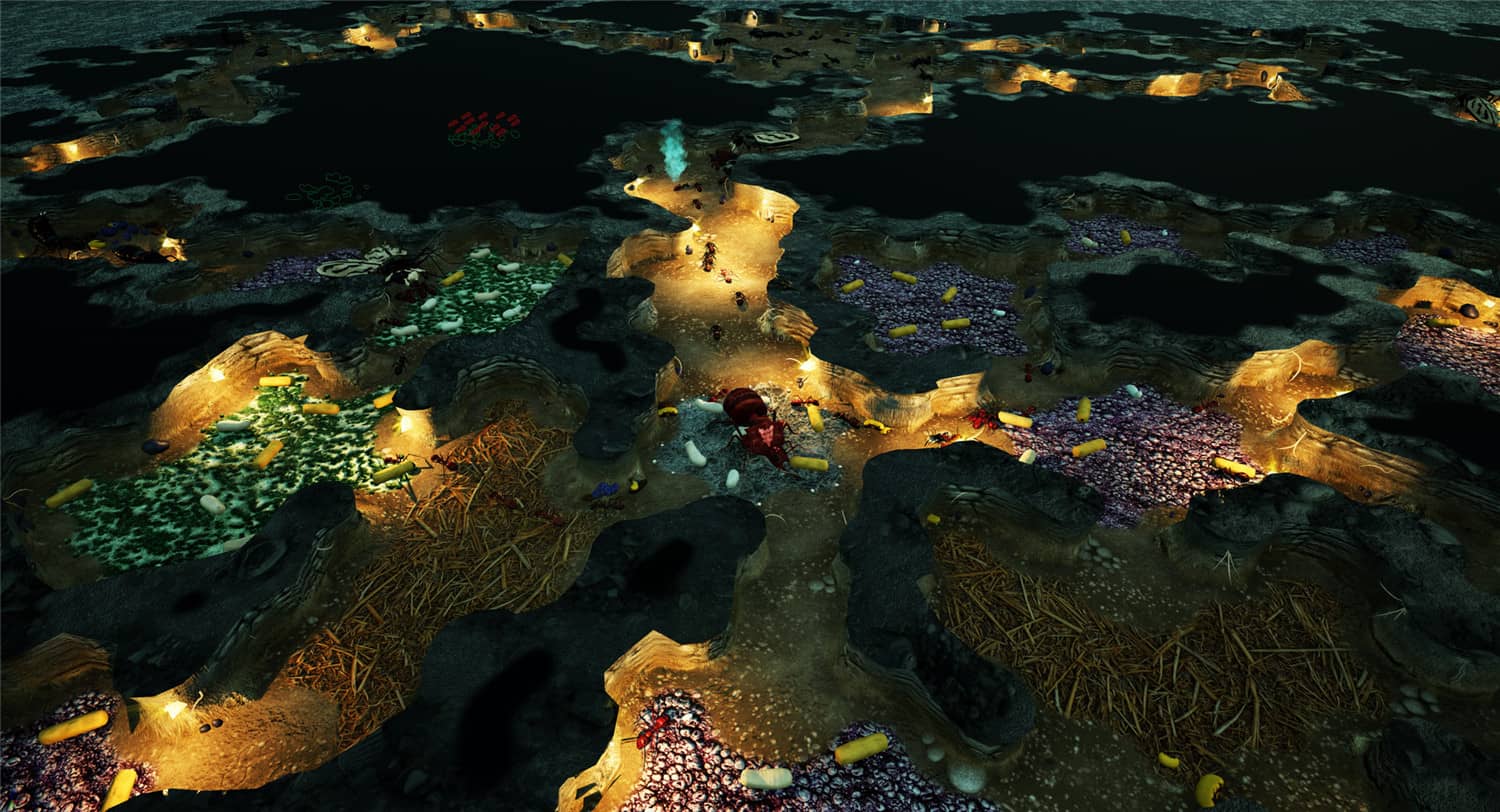 地下蚁国/Empires of the Undergrowth 地下蚁国/Empires of the Undergrowth