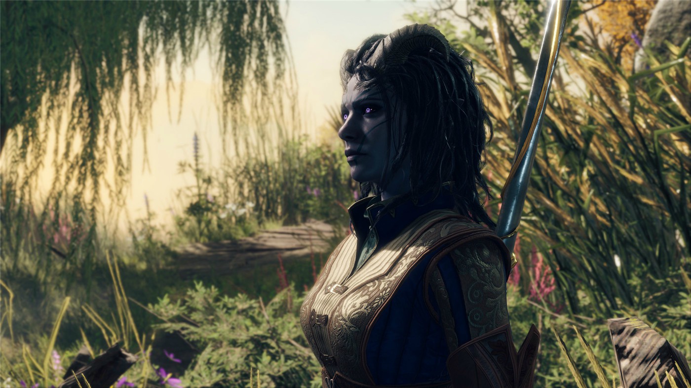 博德之门3/Baldur\\\\’s Gate 3