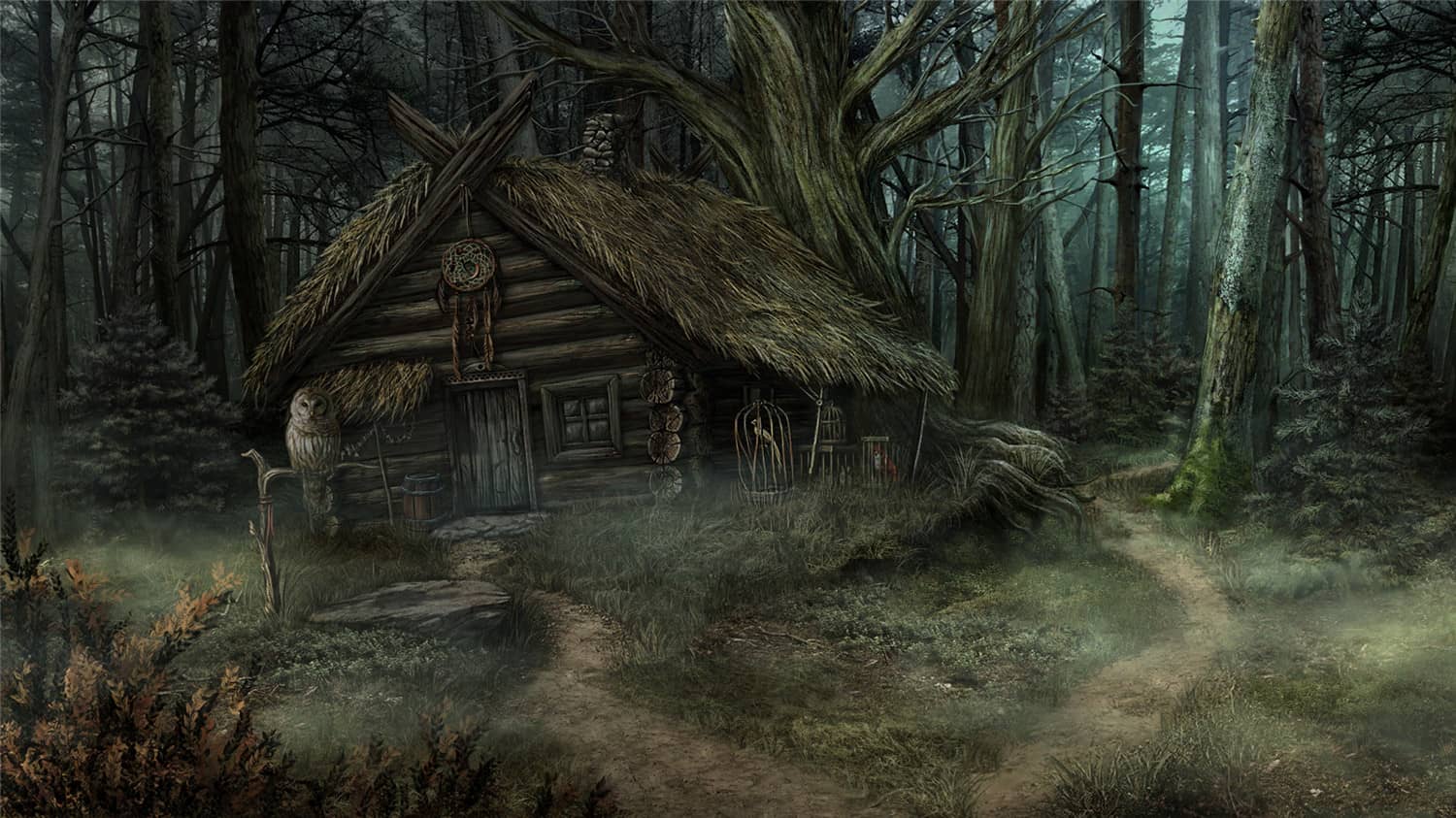 荒唐的案例/The Wild Case 荒唐的案例/The Wild Case