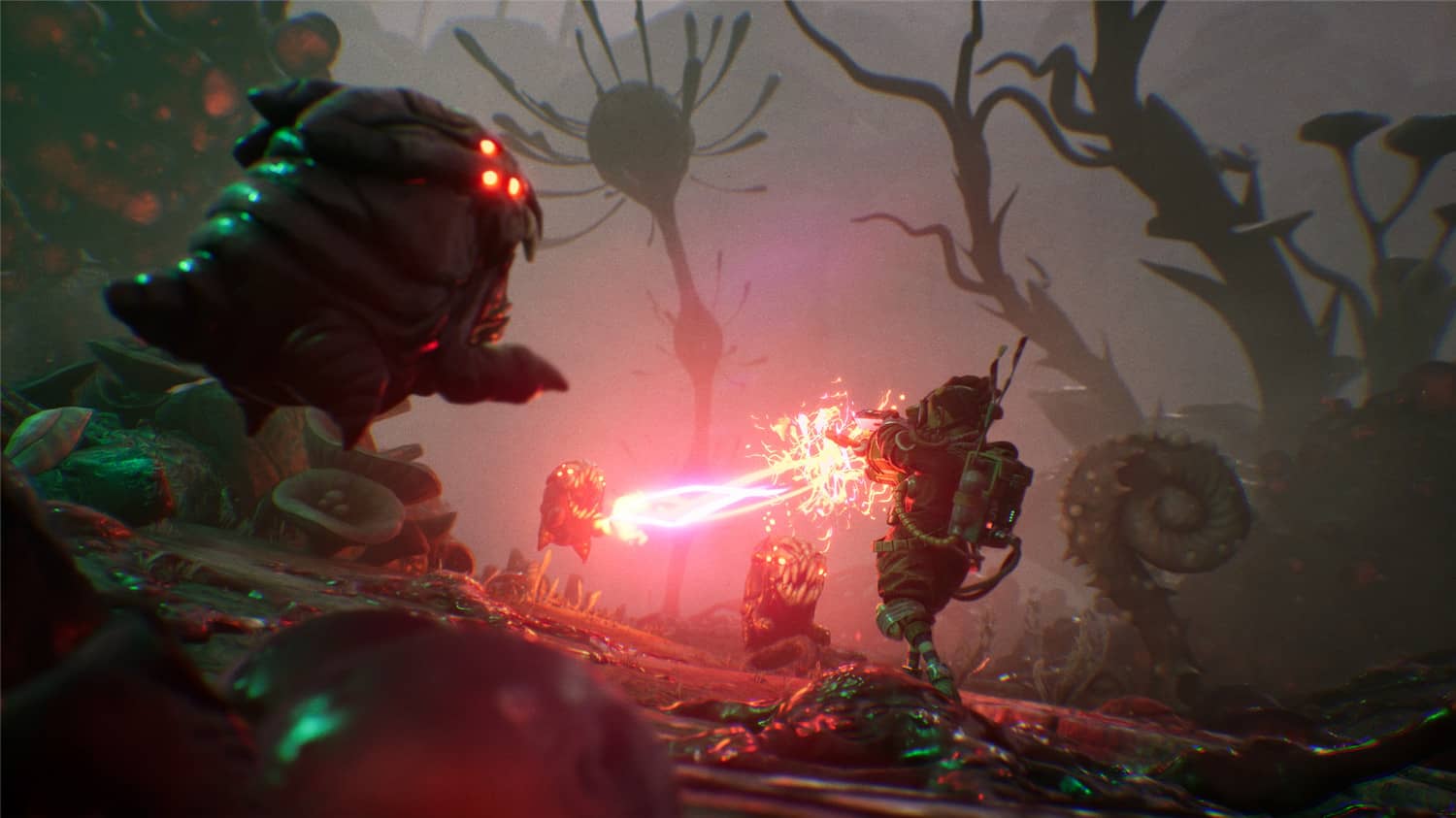 黏液/The Gunk 黏液/The Gunk